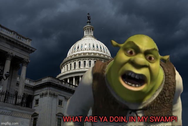 WHAT ARE YA DOIN, IN MY SWAMP! | made w/ Imgflip meme maker