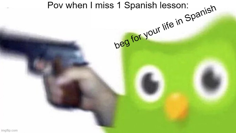 duolingo gun | Pov when I miss 1 Spanish lesson:; beg for your life in Spanish | image tagged in duolingo gun | made w/ Imgflip meme maker