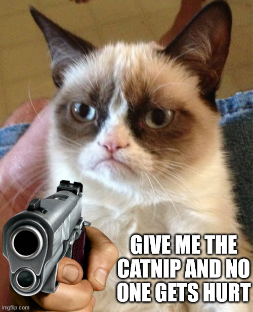Grumpy Cat Meme | GIVE ME THE
CATNIP AND NO
ONE GETS HURT | image tagged in memes,grumpy cat | made w/ Imgflip meme maker