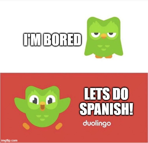 DUOLINGO BORED | I'M BORED; LETS DO SPANISH! | image tagged in duolingo bored | made w/ Imgflip meme maker