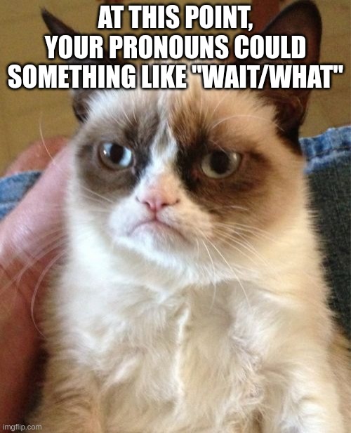 I hate 2023 | AT THIS POINT, YOUR PRONOUNS COULD SOMETHING LIKE "WAIT/WHAT" | image tagged in memes,grumpy cat | made w/ Imgflip meme maker