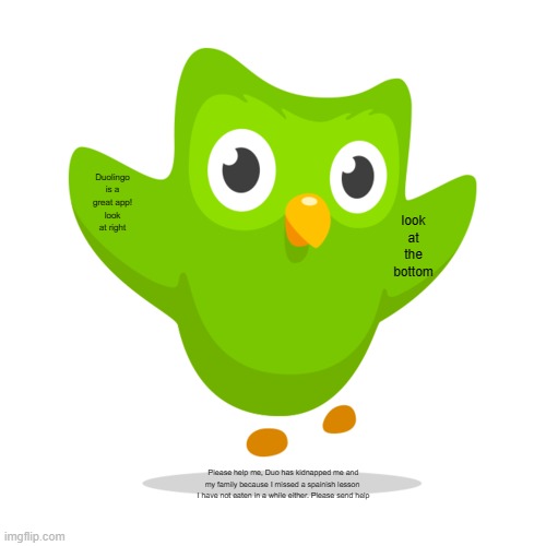 2014 Duolingo Owl | Duolingo is a great app! look at right; look at the bottom; Please help me, Duo has kidnapped me and my family because I missed a spainish lesson  I have not eaten in a while either. Please send help | image tagged in 2014 duolingo owl | made w/ Imgflip meme maker