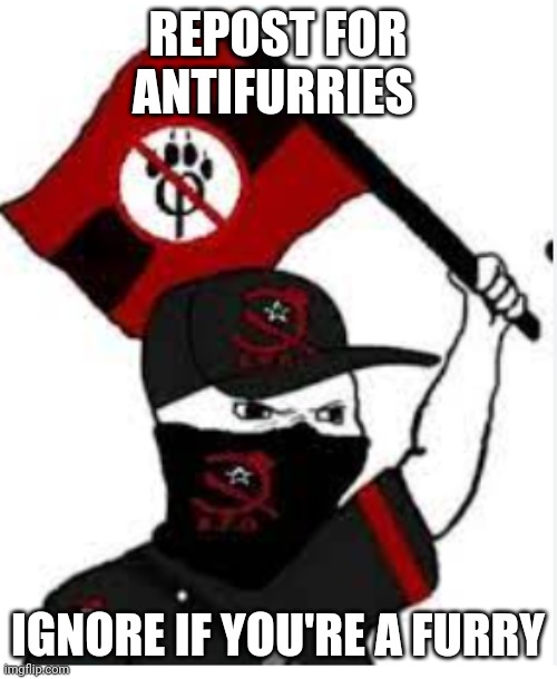 Kyle Rittenhouse did nothing wrong | REPOST FOR ANTIFURRIES; IGNORE IF YOU'RE A FURRY | image tagged in anti furry | made w/ Imgflip meme maker