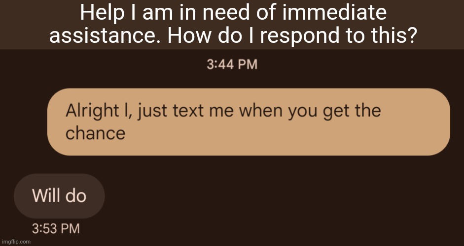 Plz help | Help I am in need of immediate assistance. How do I respond to this? | image tagged in text,boy and girl texting,crush,help me | made w/ Imgflip meme maker