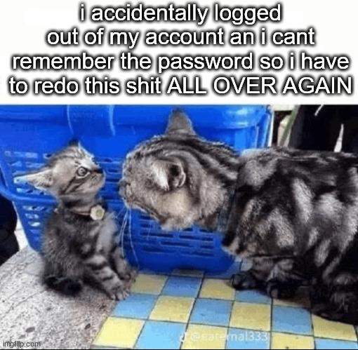 imgflip is a dumbass bitch istg | i accidentally logged out of my account an i cant remember the password so i have to redo this shit ALL OVER AGAIN | image tagged in cat yelling to a kitten | made w/ Imgflip meme maker
