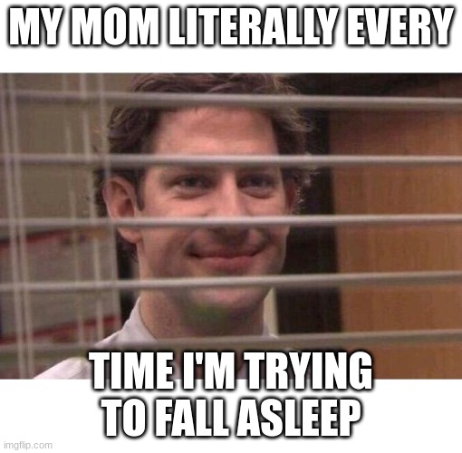 Jim Office Blinds | MY MOM LITERALLY EVERY; TIME I'M TRYING TO FALL ASLEEP | image tagged in jim office blinds | made w/ Imgflip meme maker