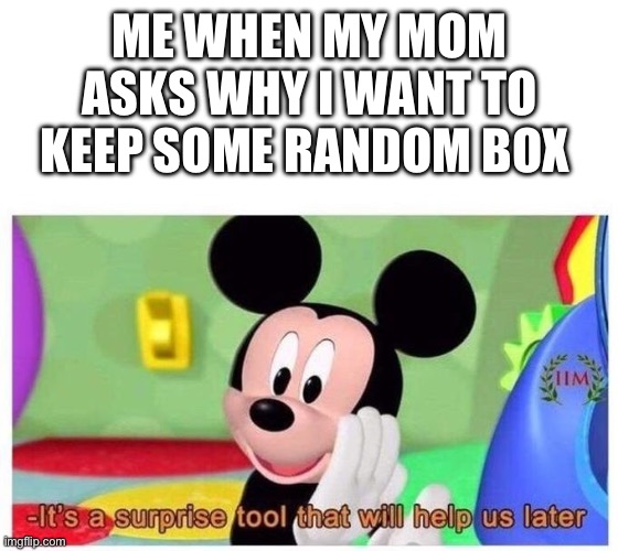 I might have hoarding issues | ME WHEN MY MOM ASKS WHY I WANT TO KEEP SOME RANDOM BOX | image tagged in it's a surprise tool that will help us later | made w/ Imgflip meme maker