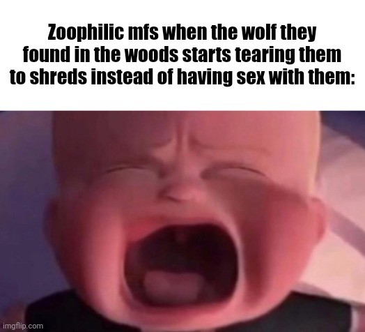 Inspired by another meme I saw a while ago | Zoophilic mfs when the wolf they found in the woods starts tearing them to shreds instead of having sex with them: | image tagged in boss baby crying,why are you reading the tags | made w/ Imgflip meme maker
