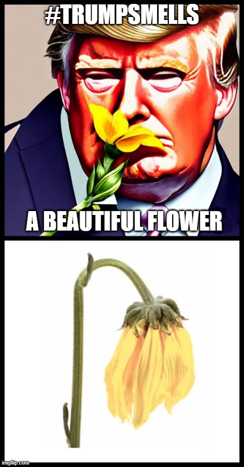 #trumpsmells A Beautiful Flower | #TRUMPSMELLS; A BEAUTIFUL FLOWER | image tagged in trump smells,donald trump,donald trump smells,stinky donnie,trumpsmells,trump stinks | made w/ Imgflip meme maker