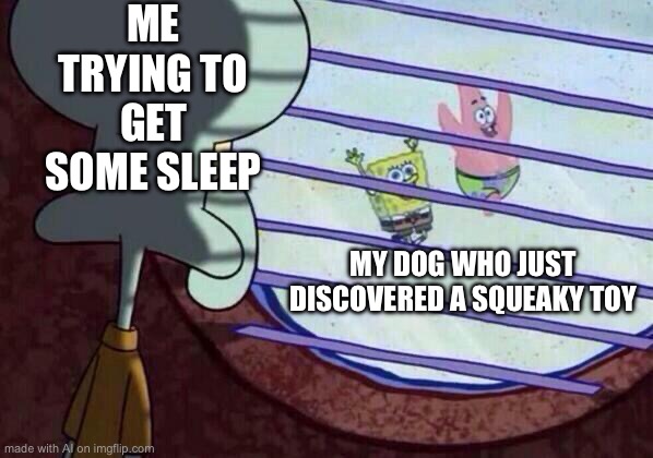Squidward window | ME TRYING TO GET SOME SLEEP; MY DOG WHO JUST DISCOVERED A SQUEAKY TOY | image tagged in squidward window | made w/ Imgflip meme maker