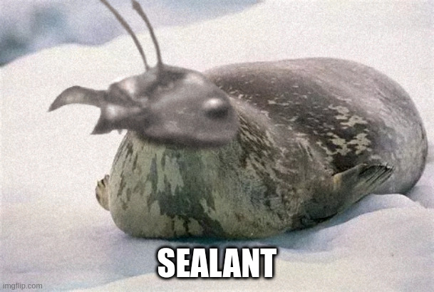 what i think of...anyway | SEALANT | image tagged in sealant,seal,ant,half and half | made w/ Imgflip meme maker