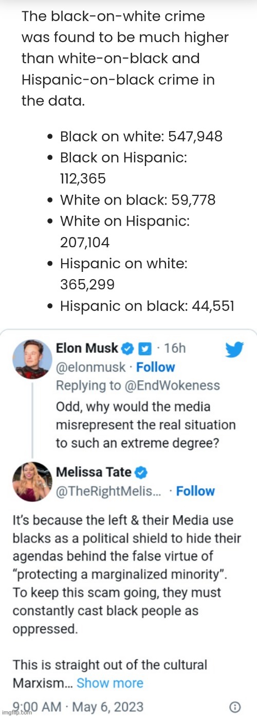 image tagged in elon musk,racism | made w/ Imgflip meme maker