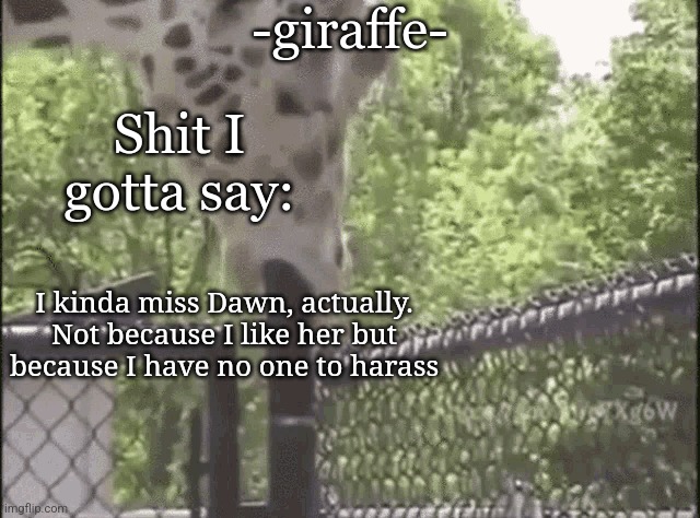 -giraffe- | I kinda miss Dawn, actually. Not because I like her but because I have no one to harass | image tagged in -giraffe- | made w/ Imgflip meme maker