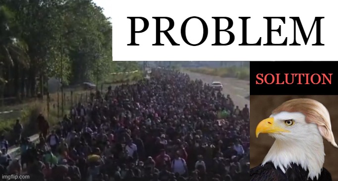 Almost 10 MILLION!!! UNSUSTAINABLE!!! | PROBLEM; SOLUTION | image tagged in politics,donald trump,invasion,unsustainable | made w/ Imgflip meme maker