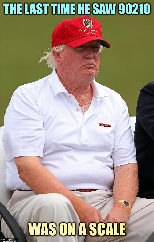 Fat Trumps | THE LAST TIME HE SAW 90210; WAS ON A SCALE | image tagged in fat trumps | made w/ Imgflip meme maker