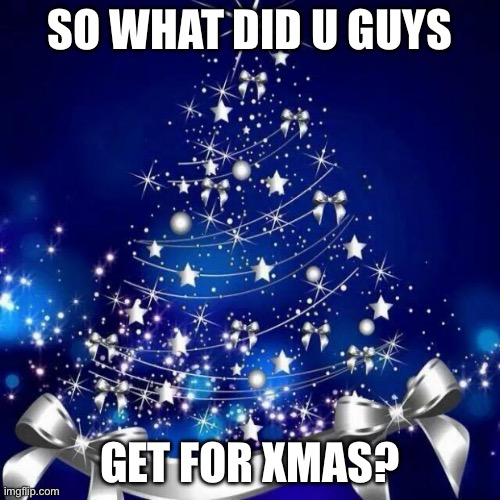 Merry Christmas  | SO WHAT DID U GUYS; GET FOR XMAS? | image tagged in merry christmas | made w/ Imgflip meme maker