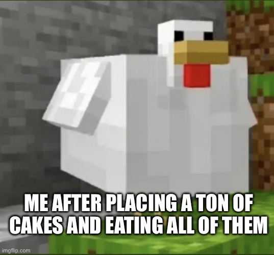 Cursed chicken | ME AFTER PLACING A TON OF CAKES AND EATING ALL OF THEM | image tagged in cursed chicken | made w/ Imgflip meme maker