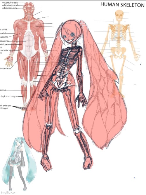 Mildésmallington anatomy | made w/ Imgflip meme maker