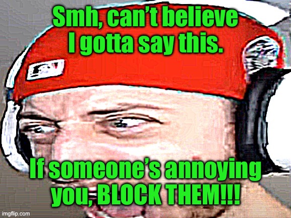 Disgusted | Smh, can’t believe I gotta say this. If someone’s annoying you, BLOCK THEM!!! | image tagged in disgusted | made w/ Imgflip meme maker