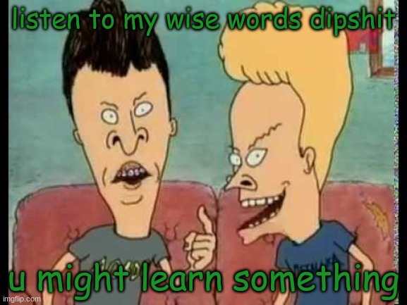 Beavis & Butt-Head he said | listen to my wise words dipshit u might learn something | image tagged in beavis butt-head he said | made w/ Imgflip meme maker