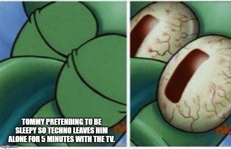 Squidward | TOMMY PRETENDING TO BE SLEEPY SO TECHNO LEAVES HIM ALONE FOR 5 MINUTES WITH THE TV. | image tagged in squidward | made w/ Imgflip meme maker