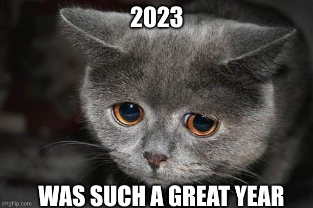 2023, another great year according to grey sad cat | 2023; WAS SUCH A GREAT YEAR | image tagged in sad cat,2023,auld lang syne,memes,nostalgia,banger year | made w/ Imgflip meme maker