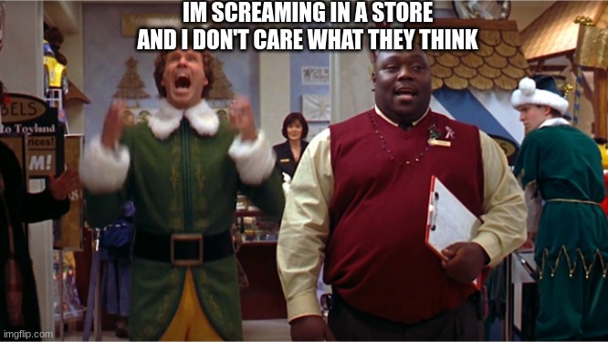 Buddy the Elf Santa | IM SCREAMING IN A STORE AND I DON'T CARE WHAT THEY THINK | image tagged in buddy the elf santa | made w/ Imgflip meme maker