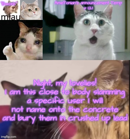 AmeTonian's announcement Temp v 1.2.1 | Night, my lovelies!
I am this close to body slamming a specific user I will not name onto the concrete and bury them in crushed up lead | image tagged in ametonian's announcement temp v 1 2 1 | made w/ Imgflip meme maker