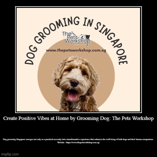 Create Positive Vibes at Home by Grooming Dog: The Pets Workshop | Dog grooming Singapore emerges not only as a practical necessity but a tr | image tagged in funny,demotivationals | made w/ Imgflip demotivational maker