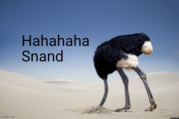 Ostrich head in sand | Hahahaha
Snand | image tagged in ostrich head in sand | made w/ Imgflip meme maker