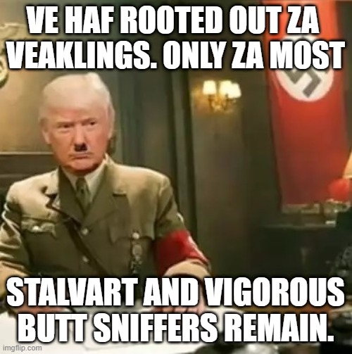 Donald Trump Hitler | VE HAF ROOTED OUT ZA 
VEAKLINGS. ONLY ZA MOST STALVART AND VIGOROUS
BUTT SNIFFERS REMAIN. | image tagged in donald trump hitler | made w/ Imgflip meme maker