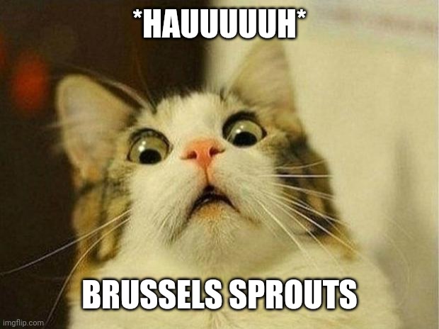 Scared Cat | *HAUUUUUH*; BRUSSELS SPROUTS | image tagged in memes,scared cat | made w/ Imgflip meme maker