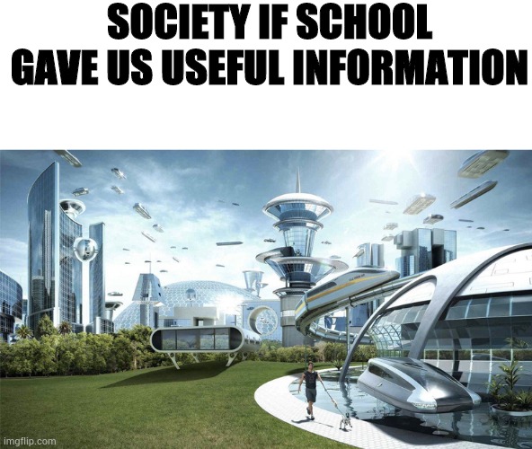 Anyone relate | SOCIETY IF SCHOOL GAVE US USEFUL INFORMATION | image tagged in the future world if | made w/ Imgflip meme maker