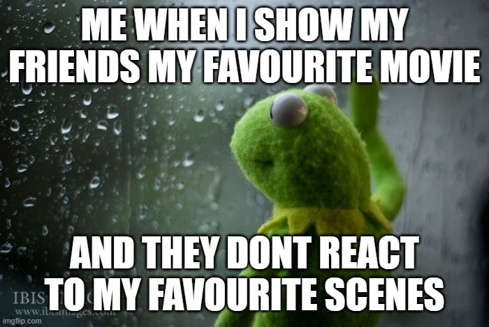 best title for ths i follow you | ME WHEN I SHOW MY FRIENDS MY FAVOURITE MOVIE; AND THEY DONT REACT TO MY FAVOURITE SCENES | image tagged in kermit window | made w/ Imgflip meme maker