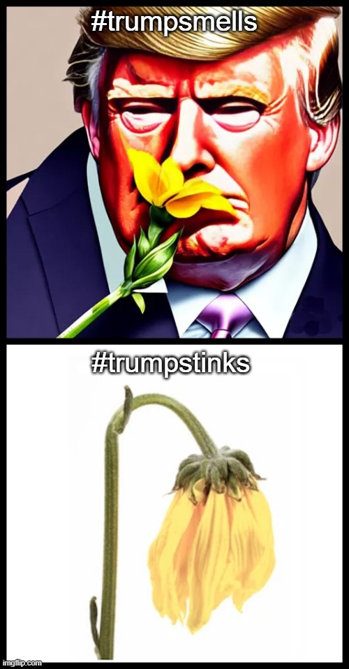 #trumpsmells #trumpstinks | #trumpsmells; #trumpstinks | image tagged in donald trump,trumpsmells,trumpstinks,trump smells,trump stinks,donald trump stinks and smells | made w/ Imgflip meme maker