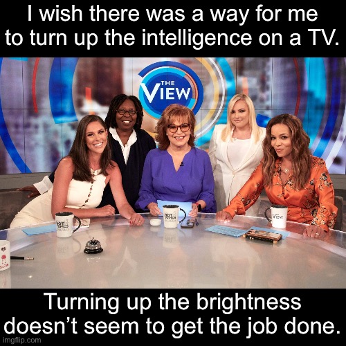 TV | I wish there was a way for me to turn up the intelligence on a TV. Turning up the brightness doesn’t seem to get the job done. | image tagged in the view | made w/ Imgflip meme maker