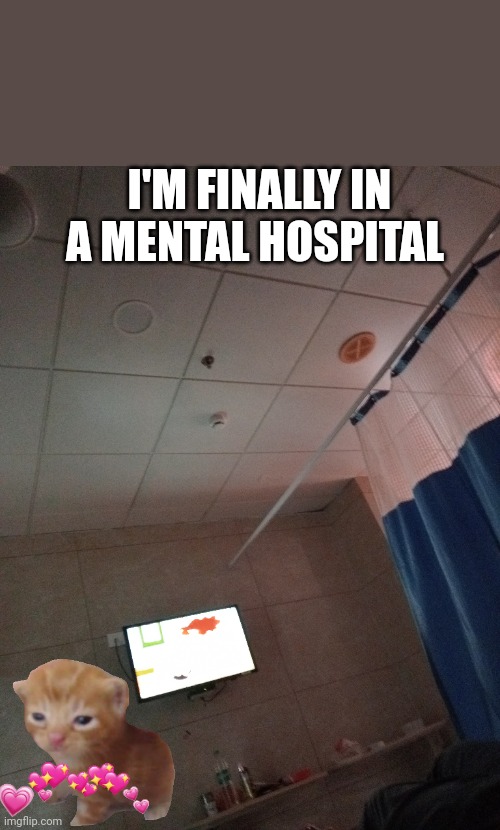 HELP | I'M FINALLY IN A MENTAL HOSPITAL | made w/ Imgflip meme maker