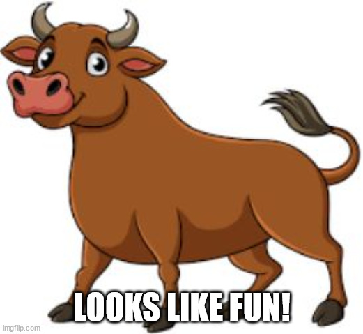 Happy bull | LOOKS LIKE FUN! | image tagged in happy bull | made w/ Imgflip meme maker