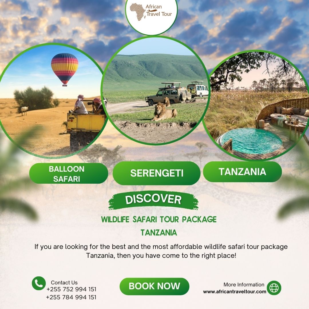 High Quality wildlife safari tour package tanzania Blank Meme Template