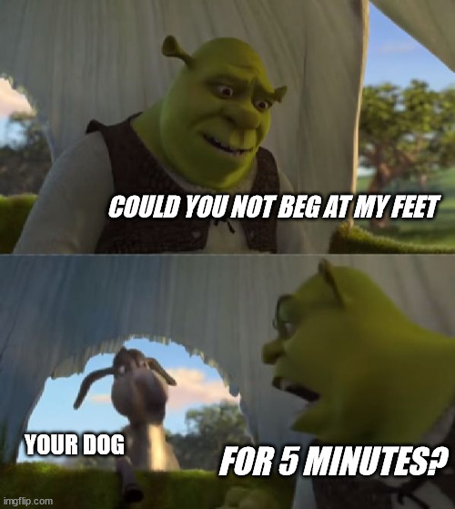 Could you not ___ for 5 MINUTES | COULD YOU NOT BEG AT MY FEET YOUR DOG FOR 5 MINUTES? | image tagged in could you not ___ for 5 minutes | made w/ Imgflip meme maker