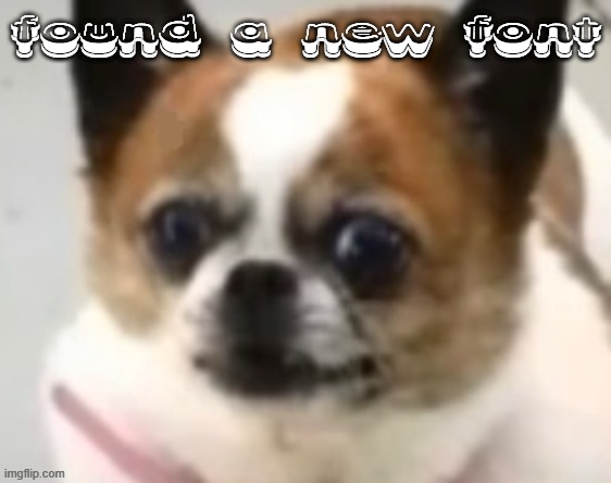 bombastic side eye dog | found a new font | image tagged in bombastic side eye dog | made w/ Imgflip meme maker