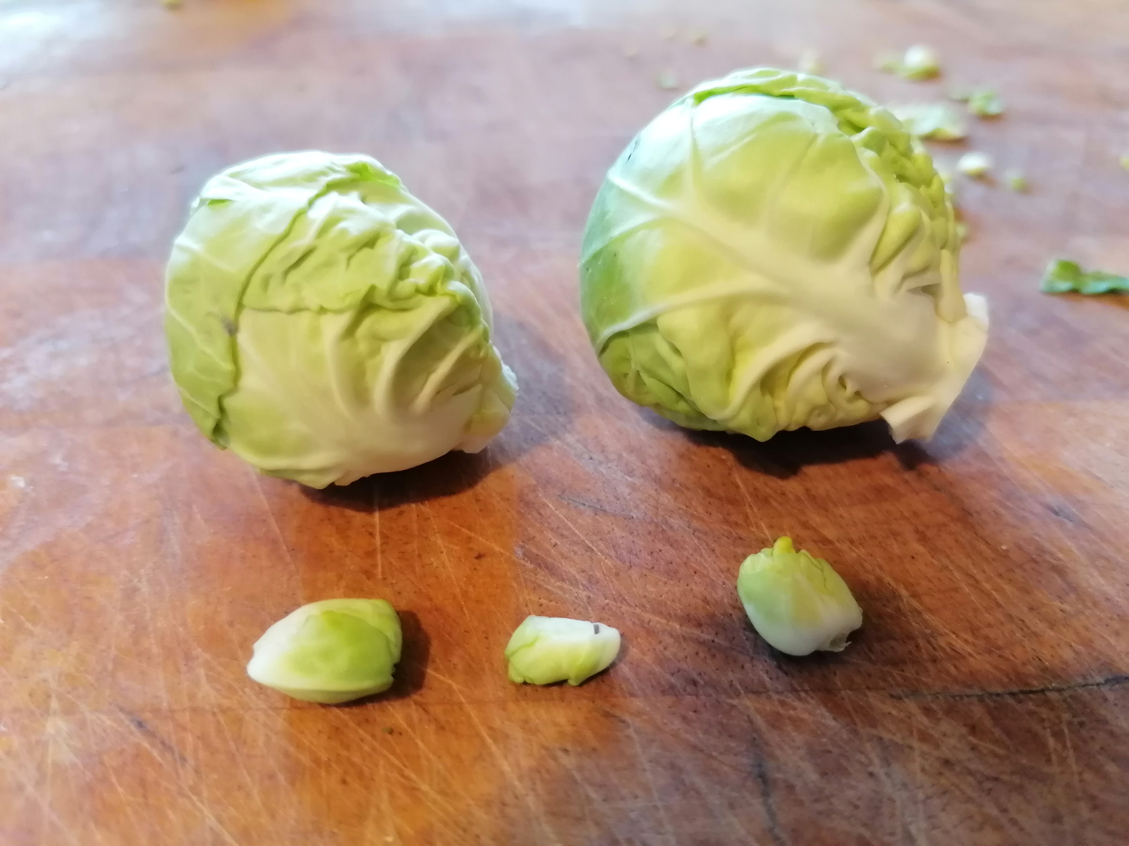 High Quality Sprouts and sproutlet family Blank Meme Template