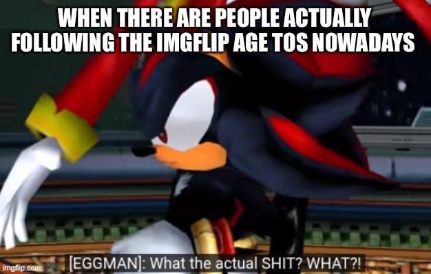 Don’t know how that’s possible | WHEN THERE ARE PEOPLE ACTUALLY FOLLOWING THE IMGFLIP AGE TOS NOWADAYS | image tagged in what the actual shit | made w/ Imgflip meme maker