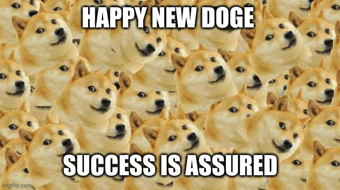 Happy New Doge Year | HAPPY NEW DOGE; SUCCESS IS ASSURED | image tagged in memes,multi doge,happy new year,success is assured,success dog,dog | made w/ Imgflip meme maker