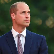 High Quality Prince william Blank Meme Template