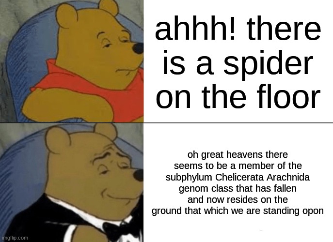 spider | ahhh! there is a spider on the floor; oh great heavens there seems to be a member of the subphylum Chelicerata Arachnida genom class that has fallen and now resides on the ground that which we are standing opon | image tagged in memes,tuxedo winnie the pooh | made w/ Imgflip meme maker