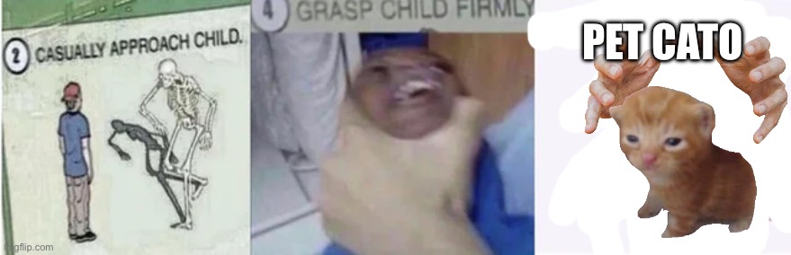 Casually Approach Child, Grasp Child Firmly, Yeet the Child | PET CATO | image tagged in casually approach child grasp child firmly yeet the child | made w/ Imgflip meme maker