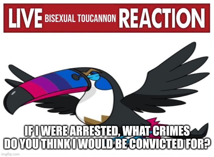 Live Bisexual Toucannon Reaction | IF I WERE ARRESTED, WHAT CRIMES DO YOU THINK I WOULD BE CONVICTED FOR? | image tagged in live bisexual toucannon reaction | made w/ Imgflip meme maker