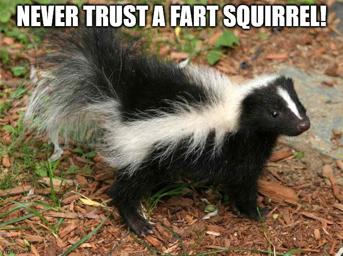 Fart Squirrel | NEVER TRUST A FART SQUIRREL! | image tagged in fart squirrel | made w/ Imgflip meme maker