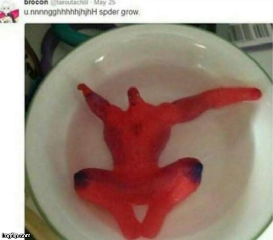 spder grow | made w/ Imgflip meme maker